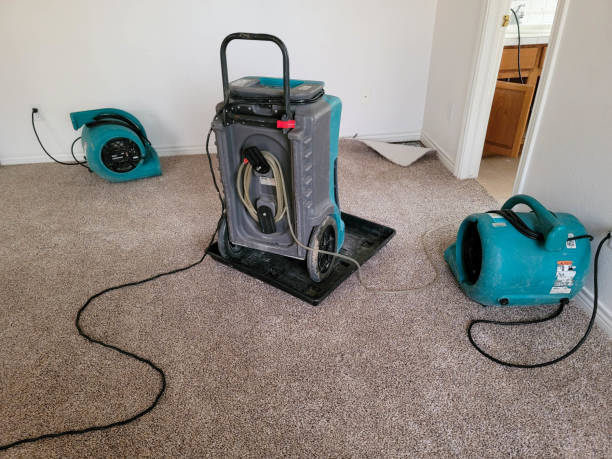 Best Carpet water damage restoration  in West Terre Haute, IN