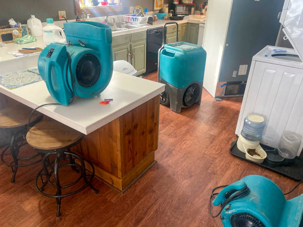 Best 24/7 water damage repair  in West Terre Haute, IN