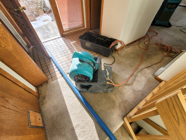 Best Water damage cleanup near me  in West Terre Haute, IN