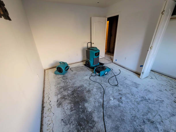 Best Fire Damage Restoration  in West Terre Haute, IN