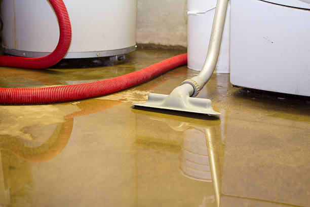 Best Ceiling water damage repair  in West Terre Haute, IN