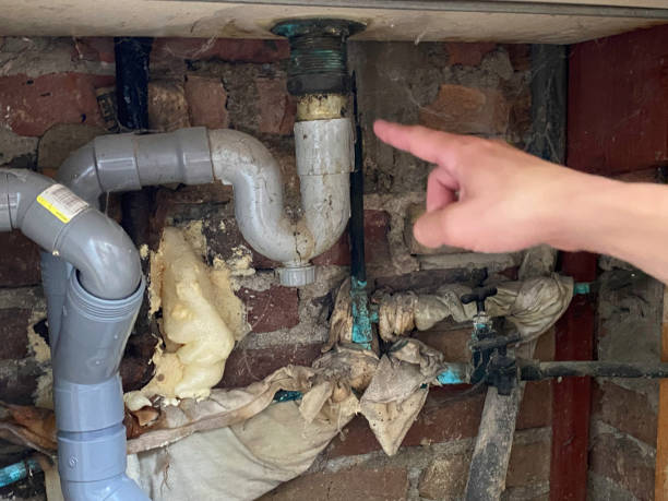 Best Sewage cleanup and water damage restoration  in West Terre Haute, IN